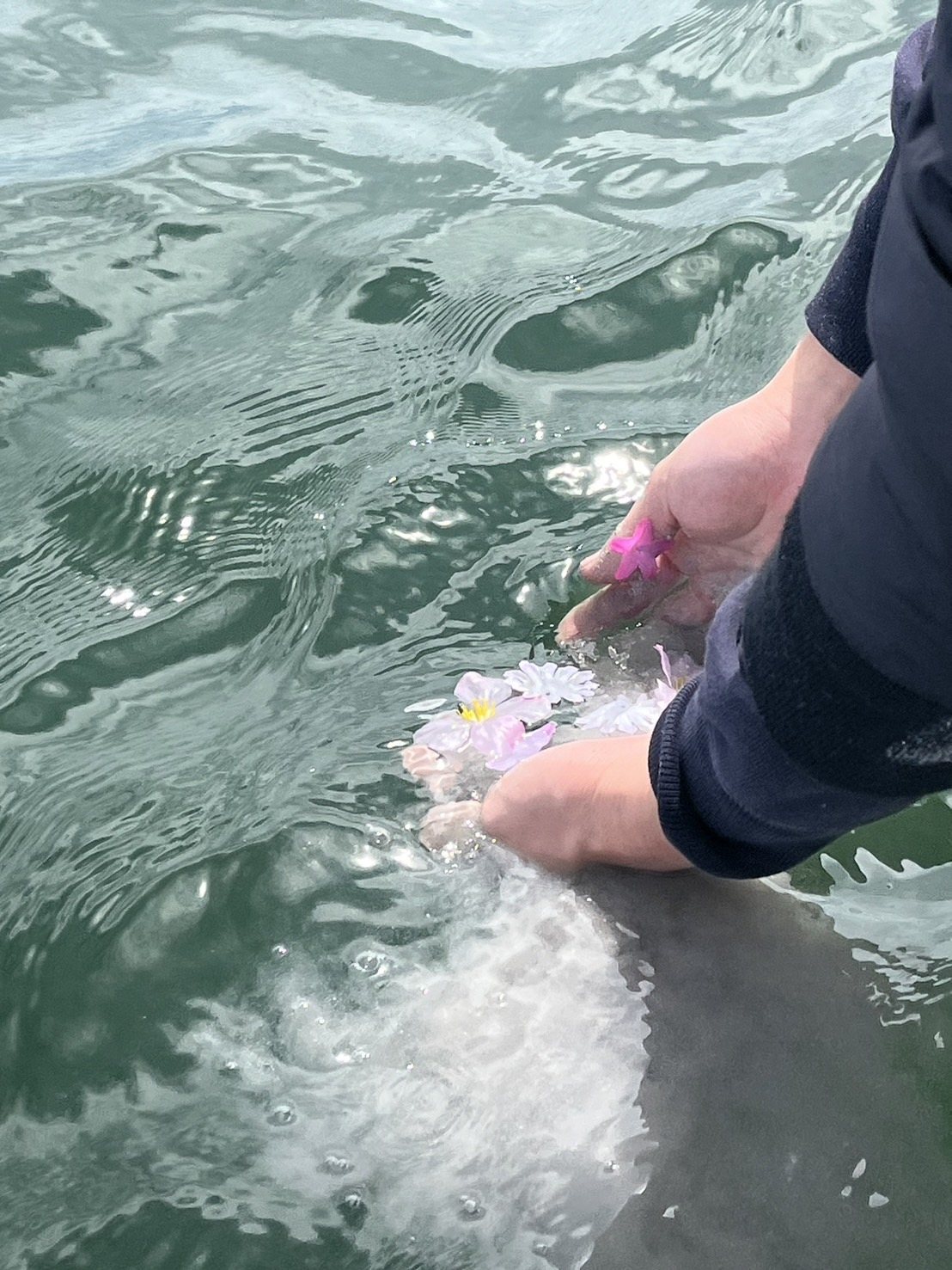 提携する海での海洋散骨によるご供養