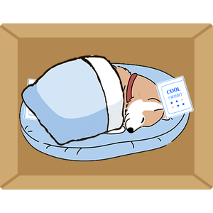 保冷剤の上から毛布をかけてあげた様子